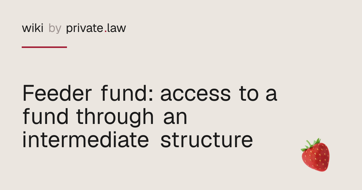 Feeder Fund: Access Through an Intermediate Structure